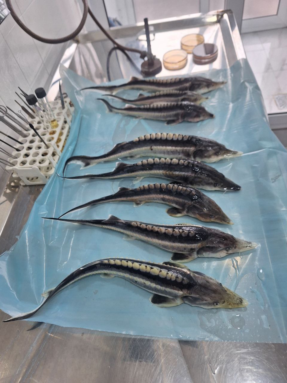 Photo 2025 05 12 05 27 44