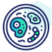 Icon service 5