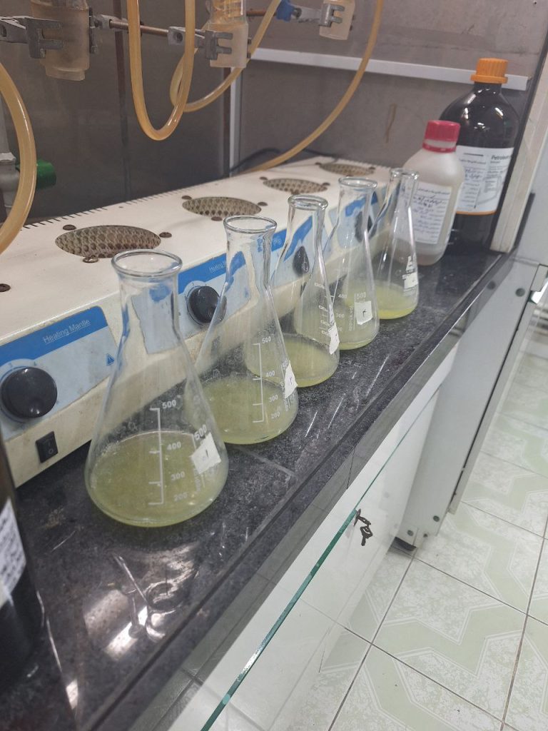 Photo 2025 05 12 13 29 32